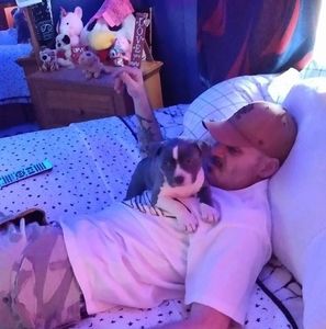 Meet your Posher, Tommy